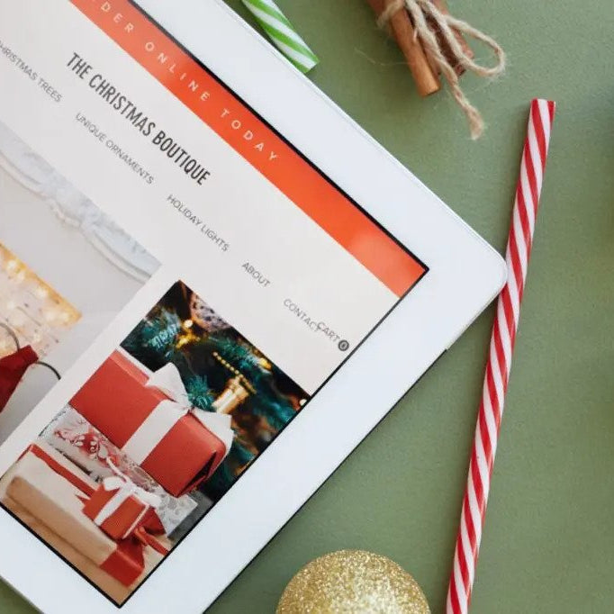 Pair Your Online Store With Multi-Functional Online Payment Processing Solution